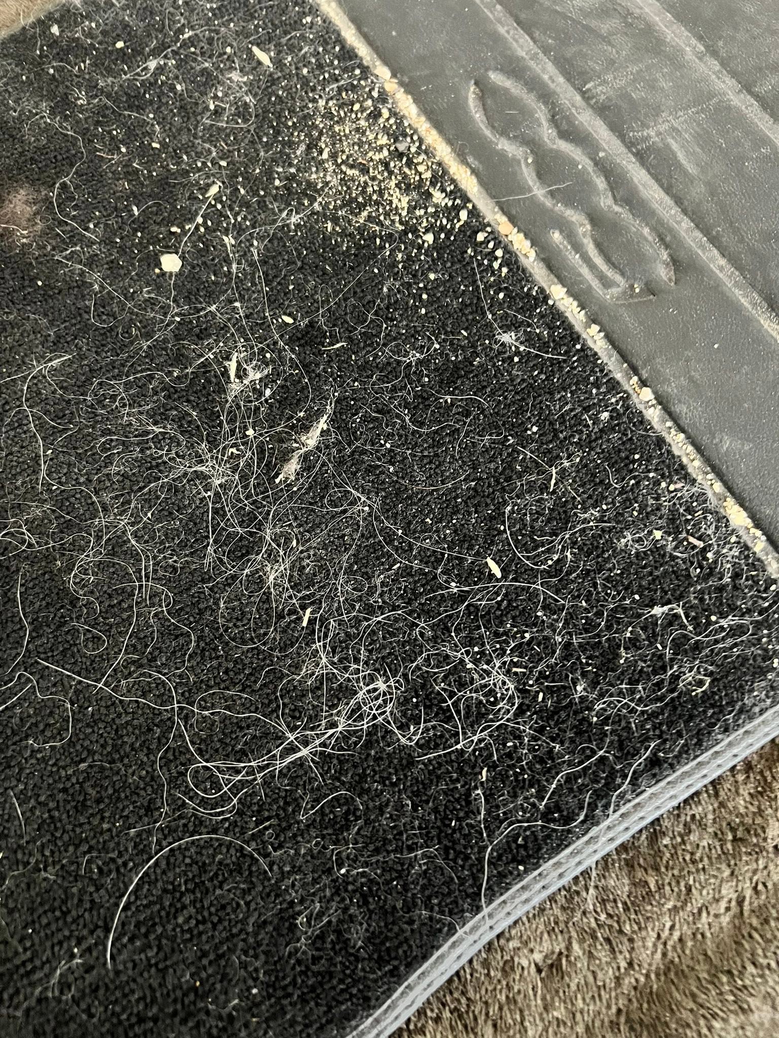 Tapis de voiture avant nettoyage